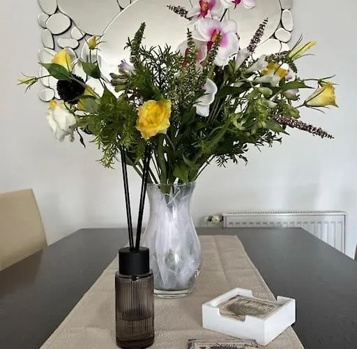 Carobni S Pogledom 公寓